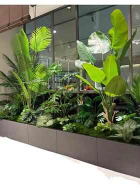 仿真绿植造景组合橱窗装饰假植物景观造景庭院布置玄关室内氛围树