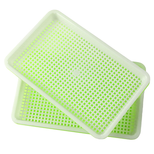 蒜苗盆栽大蒜种植盆种红葱头神器室内家庭阳台种菜盘栽种蒜黄水培