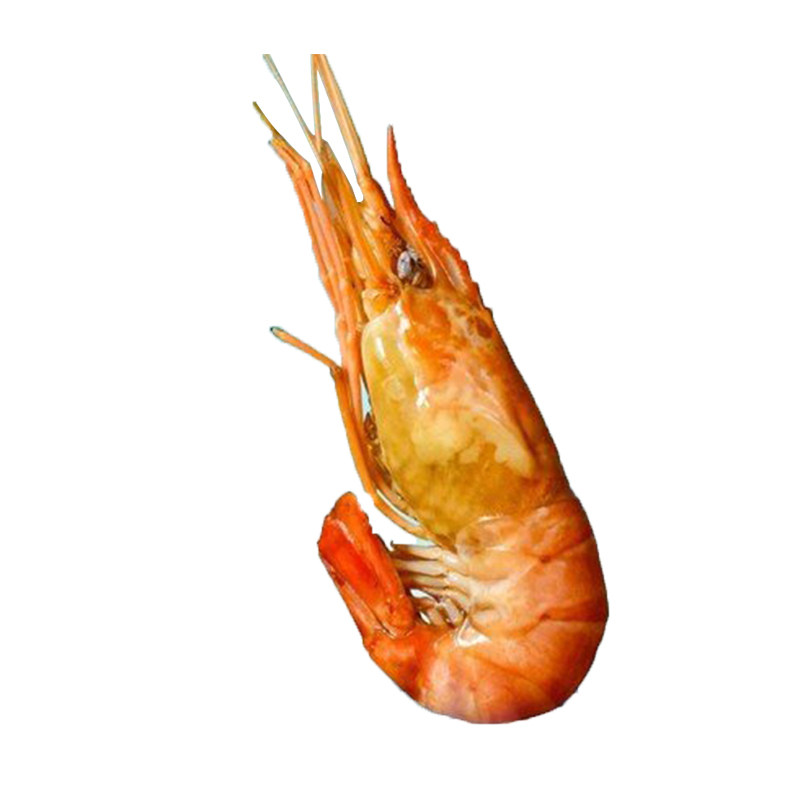 太湖一号超大熟醉虾巴掌大