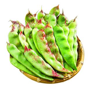 正宗东北油豆角现摘新鲜蔬菜新鲜九月青一点红油豆角整箱包邮