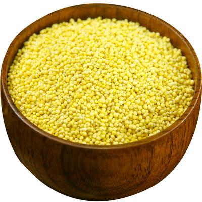 2025年大黄米新米糯小米山西黄米包粽子的小米软黄米黍米