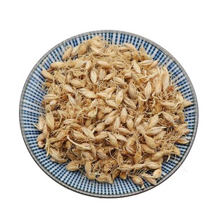 生麦芽中药材麦芽大麦蘖麦泡水炒麦芽正品天然无硫包邮500g克