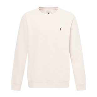 POLOWALK男装卫衣2025秋季新品潮流圆领休闲打底衫套头上衣男式