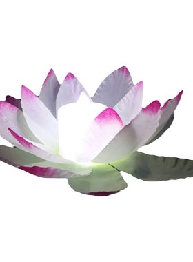 灯会庙会中秋节祝福蜡烛许愿灯