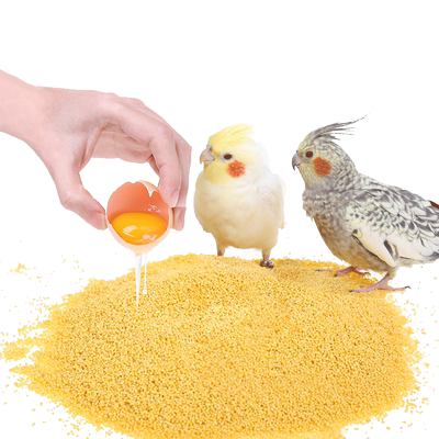 玄风鹦鹉幼鸟米雏鸡雏鸟断奶粮食