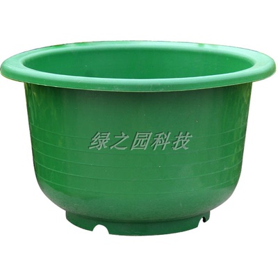 简约水培花盆塑料pp绿色苗圃绿植