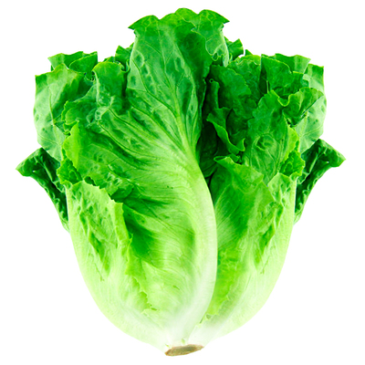 农家意大利冬季沙拉生菜