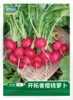 [Аутентичные ★Cricket Brand★Хрустящие и сладкие] Семена вишневого редиса Pioneer 10 г (около 600 шт.)