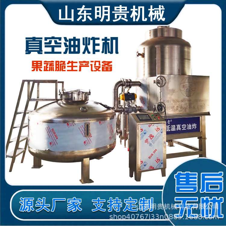 果蔬脆片油炸机香蕉片菠萝蜜真空低温油炸机豆腐鱼鲽鱼酥油炸机