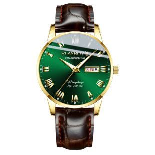 绿水鬼正品牌手表男士机械表男全自动新款名式真皮带防水商务十大