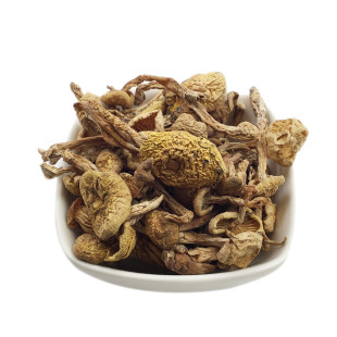 东北野生小黄蘑长白山特产小蘑菇东北干菌菇榛蘑松蘑新货250g包邮