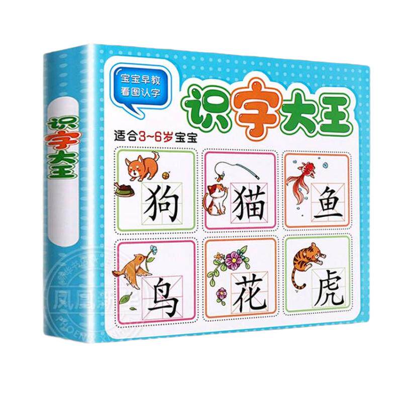 识字大王3-6岁幼小衔接学前识字
