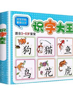 识字大王3-6岁幼小衔接学前识字