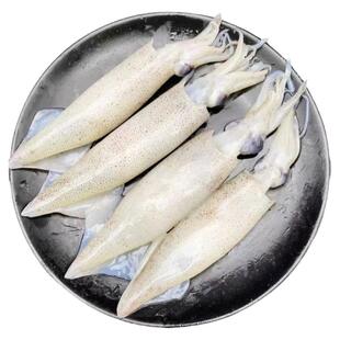 阿根廷冷冻鲜鱿鱼整条鱿鱼船冻原料北朝鱿鱼须烧烤铁板商用食材