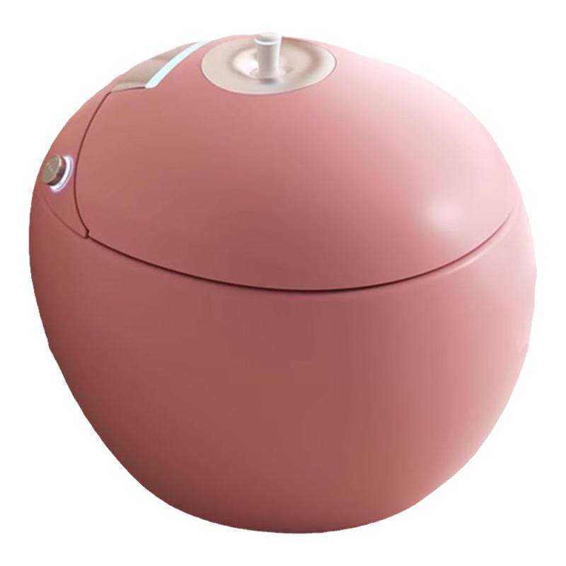 蛋形小户型全自动智能马桶坐便器