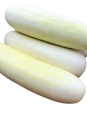 新鲜白黄瓜农家自种白皮老黄瓜