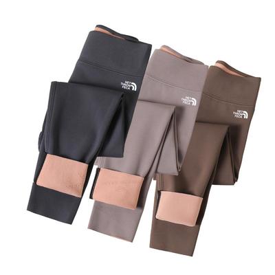 棉奇熊鲨鱼裤女童加绒打底芭比裤