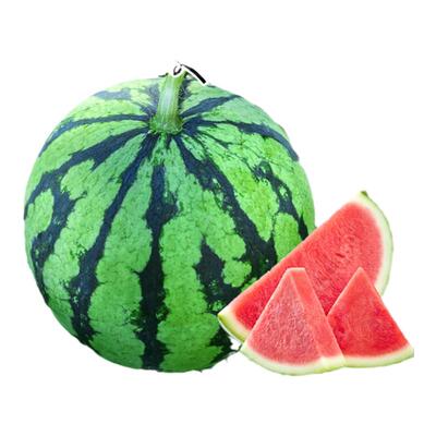麒麟8424西瓜苗包结果30天吃西瓜