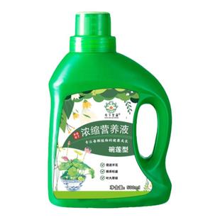 碗莲肥料碗莲营养液睡莲专用营养液促进开花的肥料水培荷花专用肥