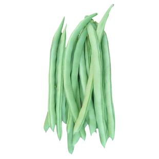 红花白荚四季豆种子蔬菜种子套餐春季播阳台种菜庭院田园夏秋种籽