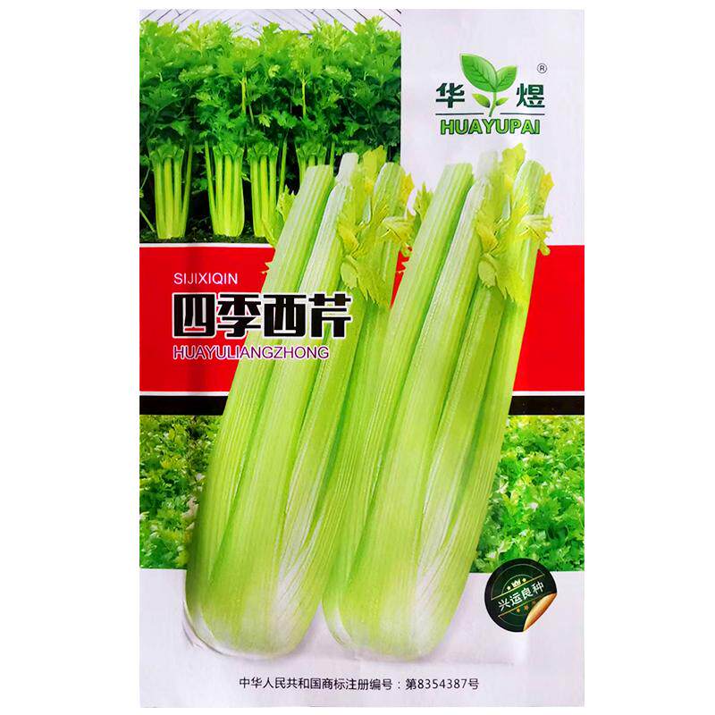 大肉西芹种子肉厚脆爽春秋四季播阳台庭院农家作物蔬菜芹菜种籽孑