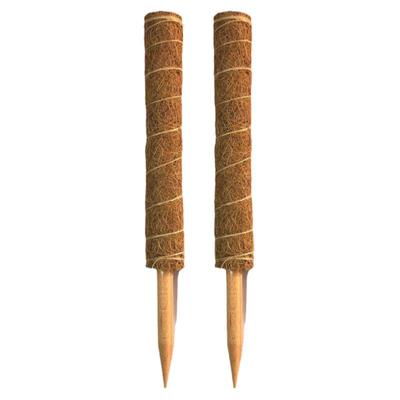 龟背竹支撑杆固定架植物攀爬棕榈