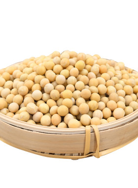 东北黄豆打豆浆专用豆子非转基因新大豆农家土黄豆5斤批发1斤半斤
