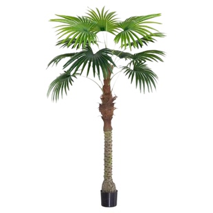 仿真椰子树假椰树棕榈树仿生扇葵树室内外落地摆件软装造景