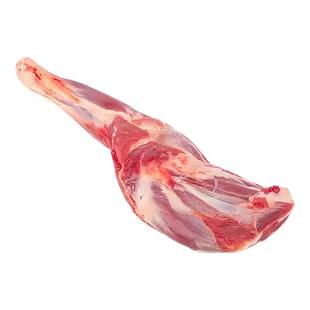 新疆阿勒泰大尾羊 草膘羔羊前腿 新鲜羊肉精细分割无膻阿勒泰直发