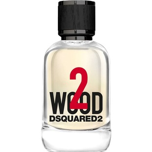 Dsquared 二次方迪斯克图 2Wood 森之晨露花香木质调男女中性香水