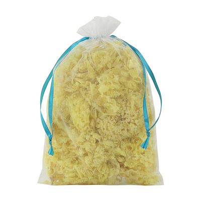 天然海绵爬宠饮水保湿纯天然