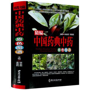 精编中国药典中药原色图谱精装300余种常用中草药识别应用原色图片中国药材大全彩色图谱图鉴大全集中医学书籍