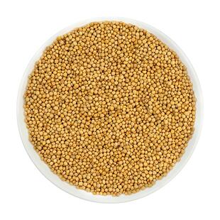 芥子（白芥子）10g 国药集团冯了性中药饮片批发小包装中药材抓配