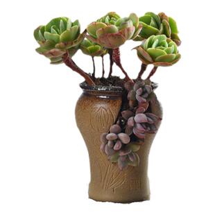 创意大号手工开孔缺破口盆悬崖高老庄植物多肉小花盆粗陶瓷罐清仓