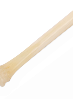 马臀皮修复划痕褶皱鹿骨棒鹿骨片