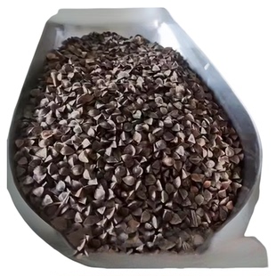 高产甜荞麦种子优质蜜源荞麦种子黑荞麦种子苦荞种子四季种植包邮