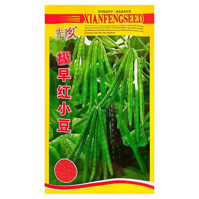 早熟红小豆种子耐热高产