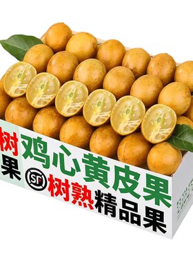 【顺丰次日达秒发】鸡心黄皮大果