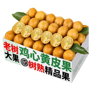 【顺丰现货】广东鸡心黄皮果郁南黄皮新鲜水果孕妇无核冰糖黄皮