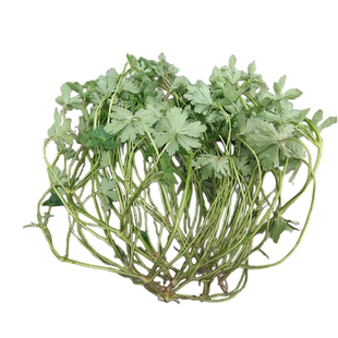 贵州老鹳草中草药材老牛筋破铜钱五瓣花老贯草五叶草新鲜现采500g