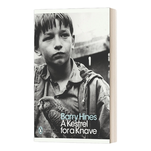 英文原版 A Kestrel for a Knave 男孩与鹰 巴里· 海因斯 现代经典 英文版 进口英语原版书籍