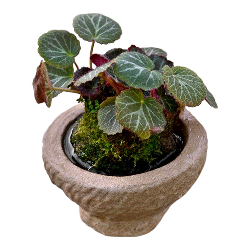 仿石臼简约耐用水培花盆