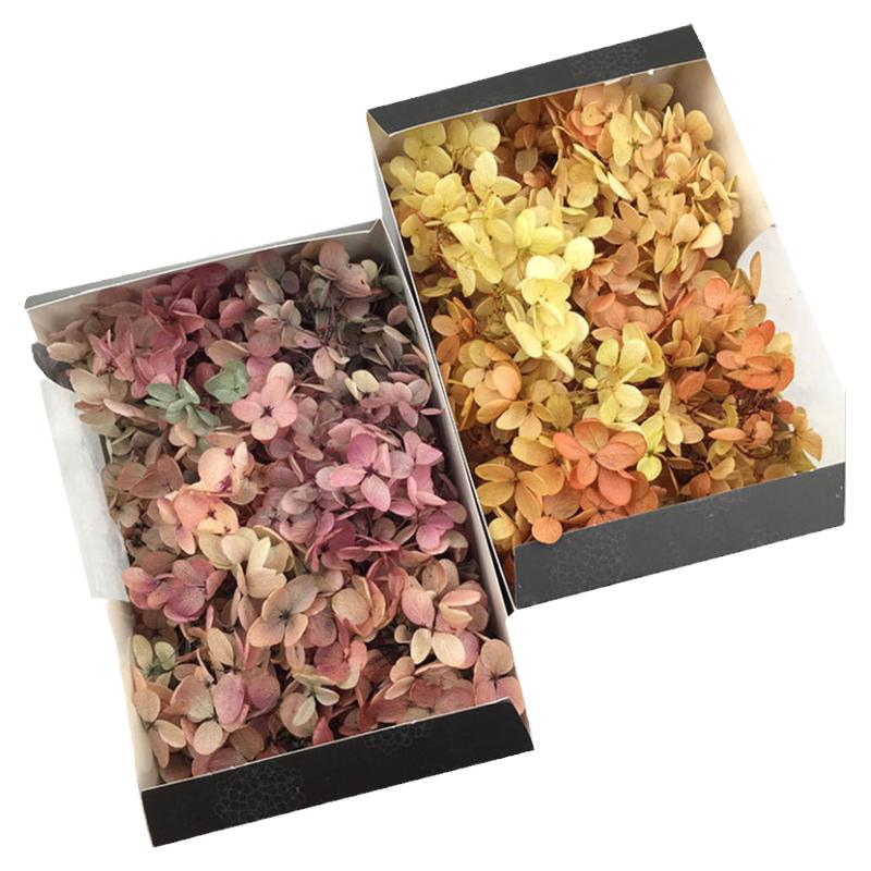 永生花绣球花瓣相框球衣Diy用花