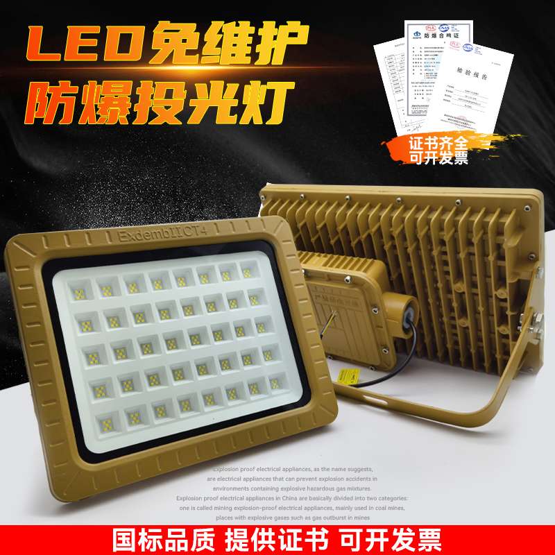 LED应急防爆灯加油站仓库车间化工厂防腐防水12V24V36V低压防爆灯