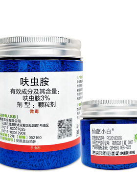 仙葩小白药多肉介壳虫
