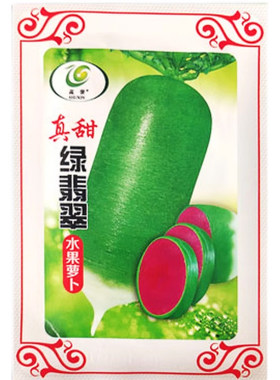 蔬菜紫美人凤梨水果阳台盆栽萝卜