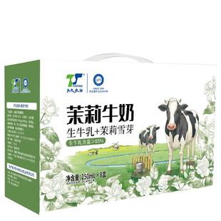 【新日期】天太茉莉雪芽牛奶早餐正品生牛乳250ml*24盒整箱批发