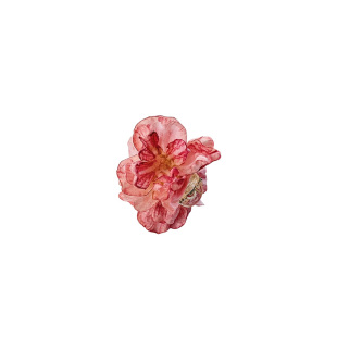 头花女山茶花夏日发夹干枯玫瑰花朵抓夹发饰高级感半扎发夹子头饰
