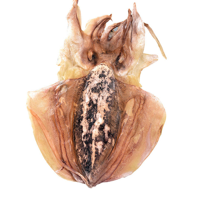 墨鱼干大号煲汤送礼海鲜干货淡晒乌贼干淡干目鱼干货温州特产