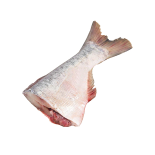 查干湖有机胖头鱼尾2条共2-2.5斤弱碱冷水天然鱼真空保鲜包邮